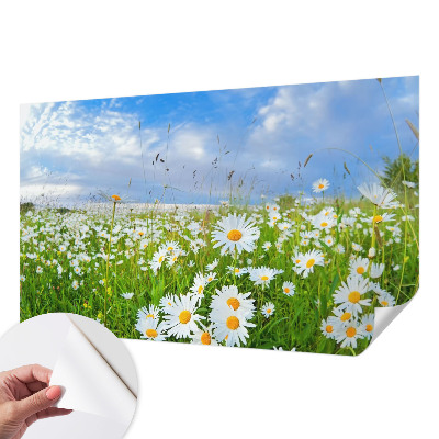 Samoljepljiva foto tapeta Ljetna livada
