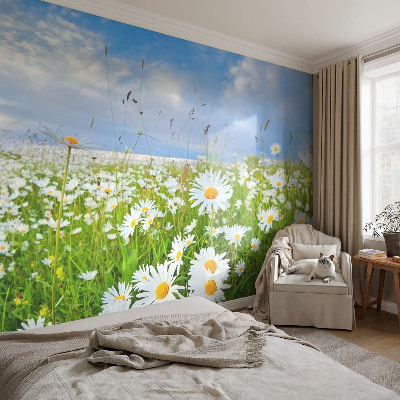 Samoljepljiva foto tapeta Ljetna livada