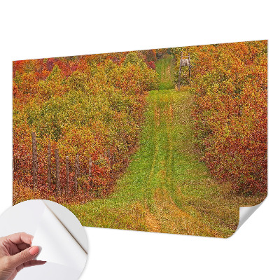 Samoljepljiva fototapeta za dnevni boravak Jesenske boje
