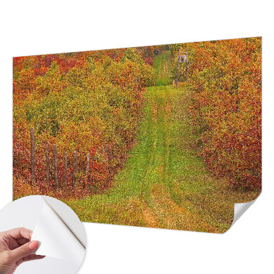 Samoljepljiva fototapeta za dnevni boravak Jesenske boje