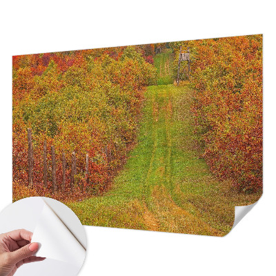 Samoljepljiva fototapeta za dnevni boravak Jesenske boje