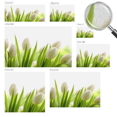 Dječja fototapeta Bijeli tulipani