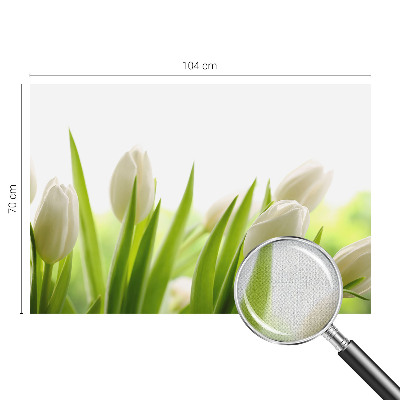 Dječja fototapeta Bijeli tulipani