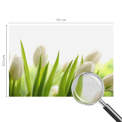 Dječja fototapeta Bijeli tulipani