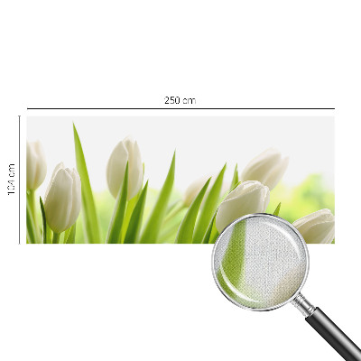 Dječja fototapeta Bijeli tulipani