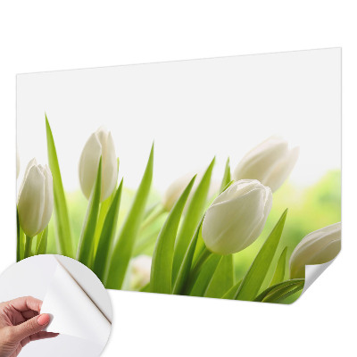 Dječja fototapeta Bijeli tulipani
