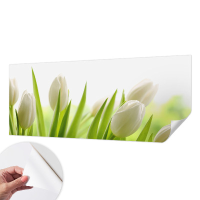Dječja fototapeta Bijeli tulipani