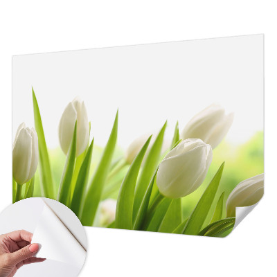 Dječja fototapeta Bijeli tulipani