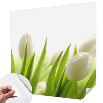 Dječja fototapeta Bijeli tulipani