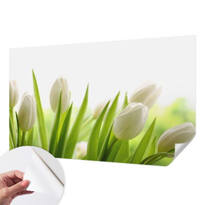 Dječja fototapeta Bijeli tulipani