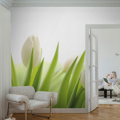Dječja fototapeta Bijeli tulipani