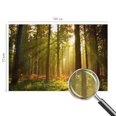 Foto tapeta za dječju sobu Šumsko jutro