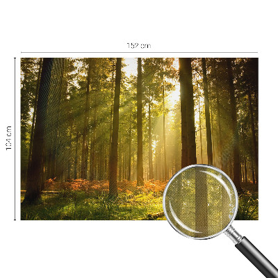 Foto tapeta za dječju sobu Šumsko jutro