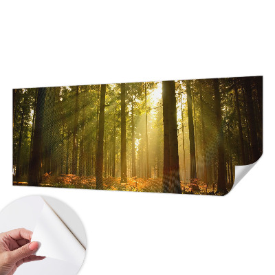 Foto tapeta za dječju sobu Šumsko jutro