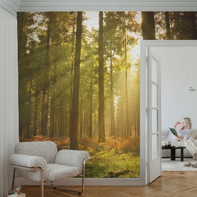 Foto tapeta za dječju sobu Šumsko jutro