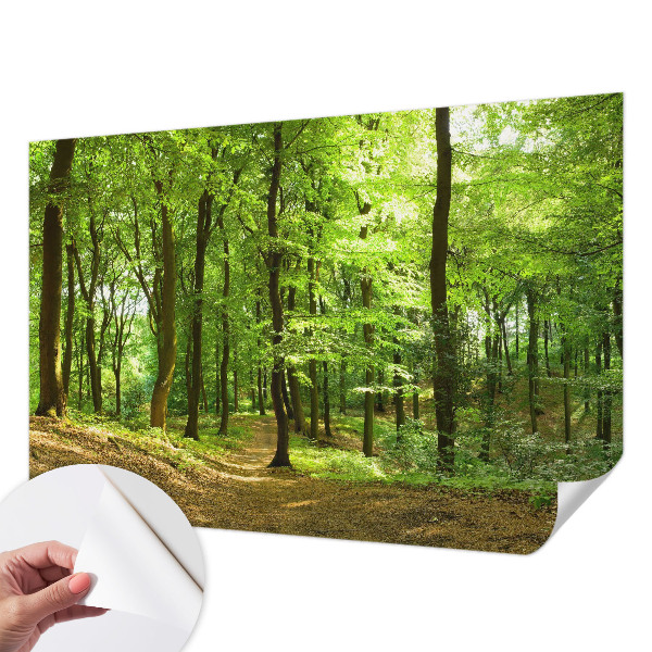 Dječja foto tapeta Prirodni put