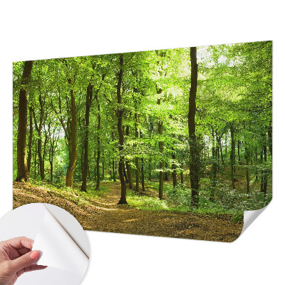 Dječja foto tapeta s motivom prirodnog puta