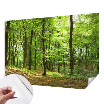 Dječja foto tapeta Prirodni put