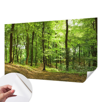 Dječja foto tapeta Prirodni put