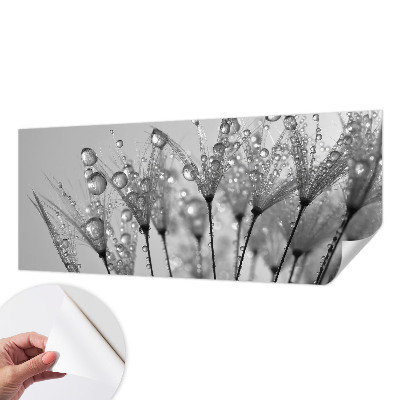 Samoljepljiva foto tapeta Mokra delicija