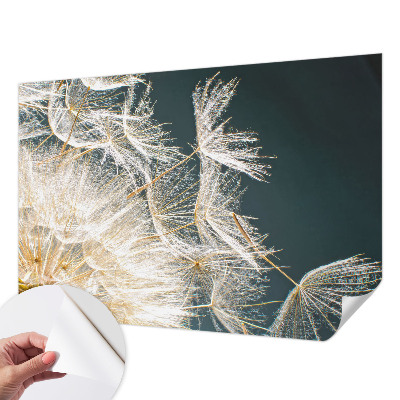 Samoljepljiva foto tapeta Maslačak lakoće
