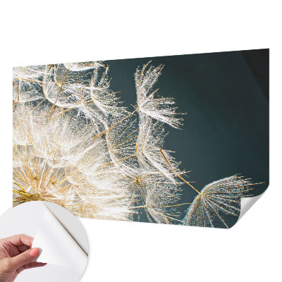 Samoljepljiva foto tapeta Maslačak lakoće