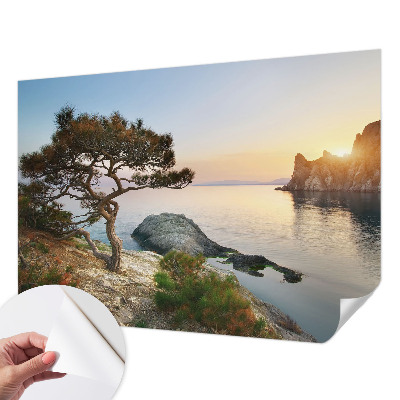 Foto tapeta za dječju sobu Mirna priroda