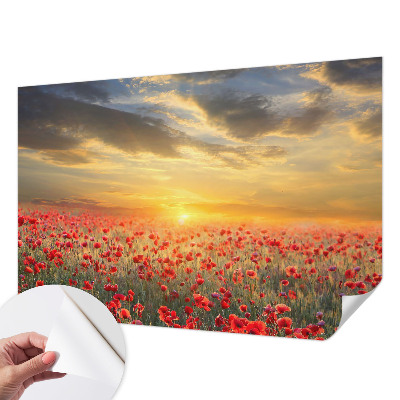 Fototapeta za dječju sobu Polje maka