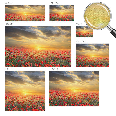 Fototapeta za dječju sobu Polje maka