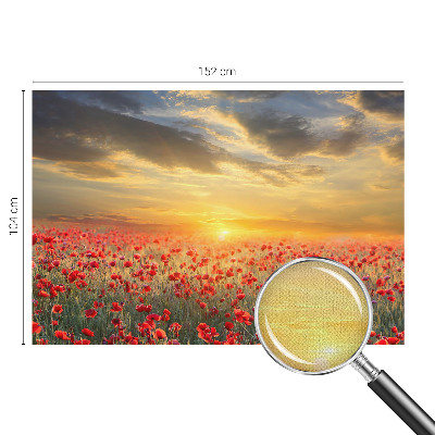 Fototapeta za dječju sobu Polje maka