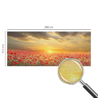 Fototapeta za dječju sobu Polje maka