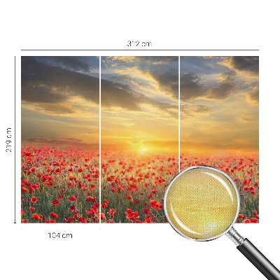 Fototapeta za dječju sobu Polje maka