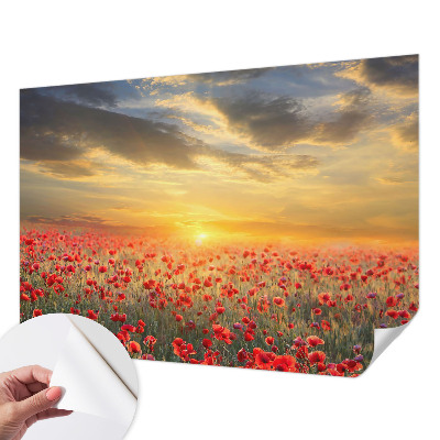 Fototapeta za dječju sobu Polje maka