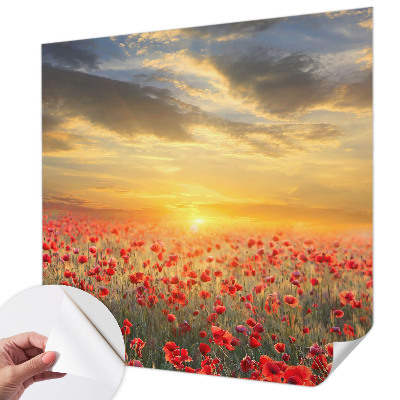 Fototapeta za dječju sobu Polje maka