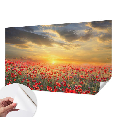 Fototapeta za dječju sobu Polje maka