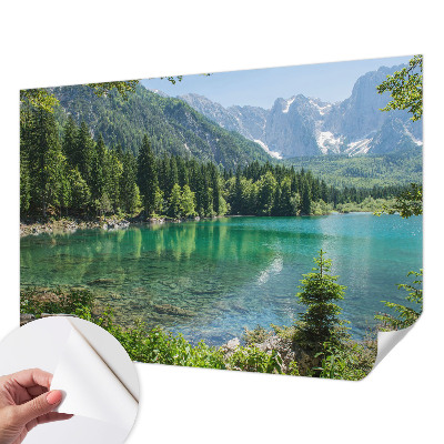 Fototapeta Zeleno jezero