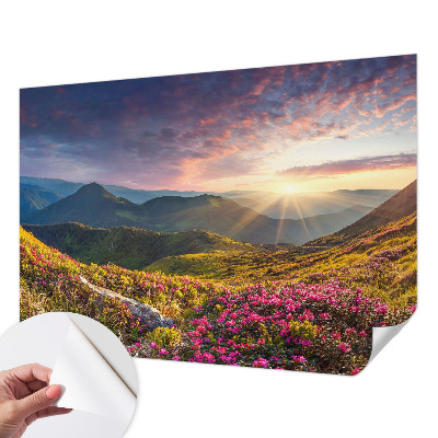 Foto tapeta Planinska panorama
