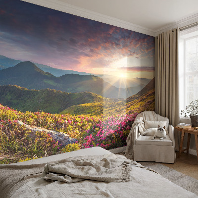 Foto tapeta Planinska panorama
