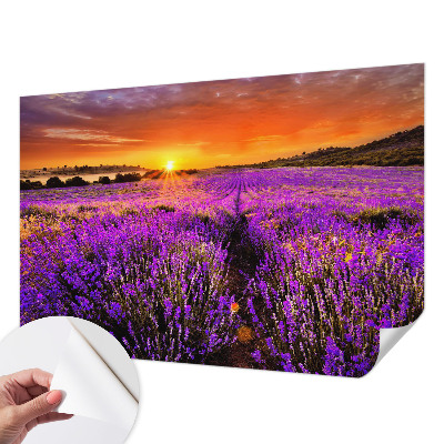 Foto tapeta za dječju sobu Zalazak sunca lavande