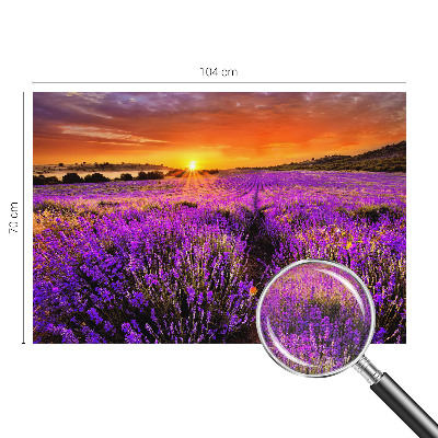 Foto tapeta za dječju sobu Zalazak sunca lavande