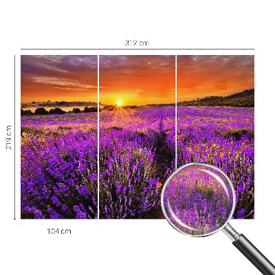 Foto tapeta za dječju sobu Zalazak sunca lavande