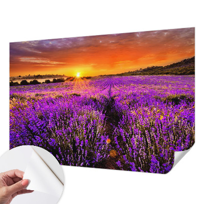 Foto tapeta za dječju sobu Zalazak sunca lavande