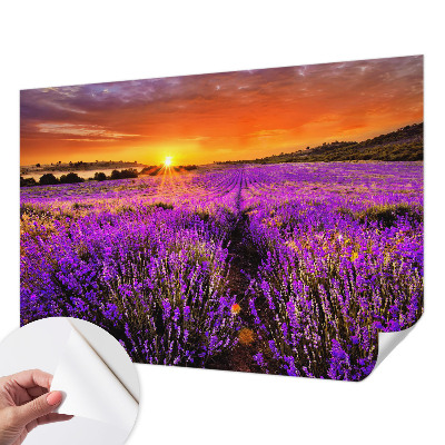Foto tapeta za dječju sobu Zalazak sunca lavande
