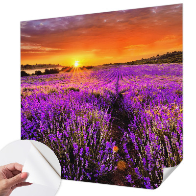 Foto tapeta za dječju sobu Zalazak sunca lavande