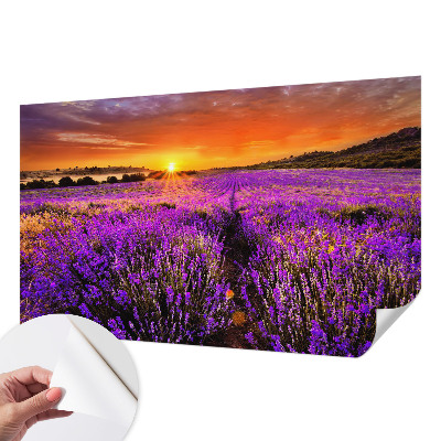 Foto tapeta za dječju sobu Zalazak sunca lavande