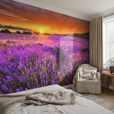 Foto tapeta za dječju sobu Zalazak sunca lavande