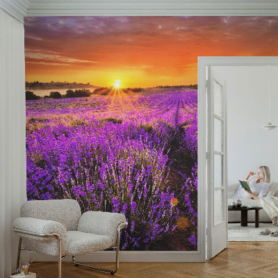 Foto tapeta za dječju sobu s motivom zalaska sunca u nijansama lavande