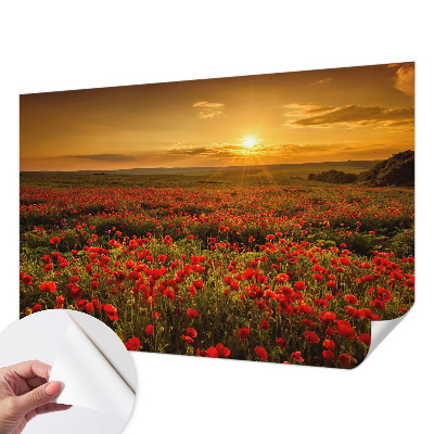 Dječja foto tapeta Polje maka