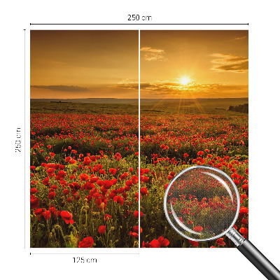Dječja foto tapeta Polje maka