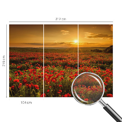Dječja foto tapeta Polje maka
